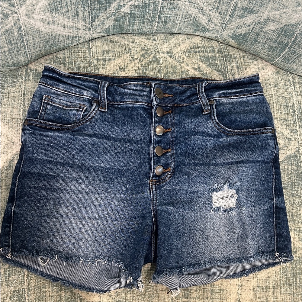 Kut from the Kloth Denim Blue Women's Shorts